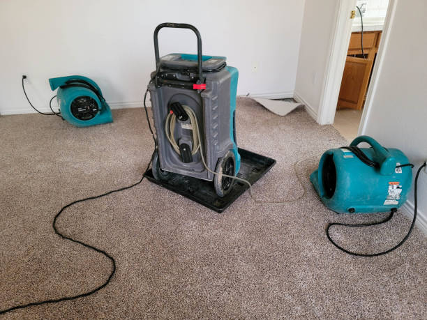 Best Carpet water damage restoration  in Brownstown, IN