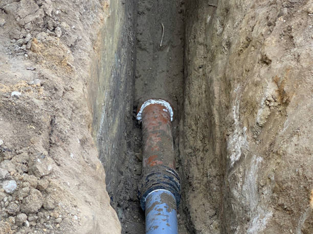 Best Professional water damage repair  in Brownstown, IN
