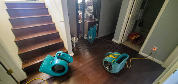Best 24-hour water damage restoration  in Brownstown, IN