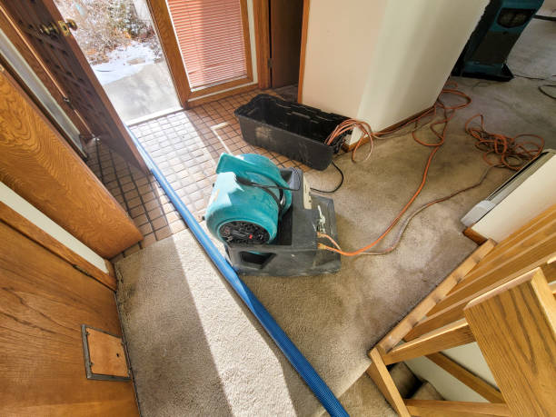 Best Sewage cleanup and water damage restoration  in Brownstown, IN