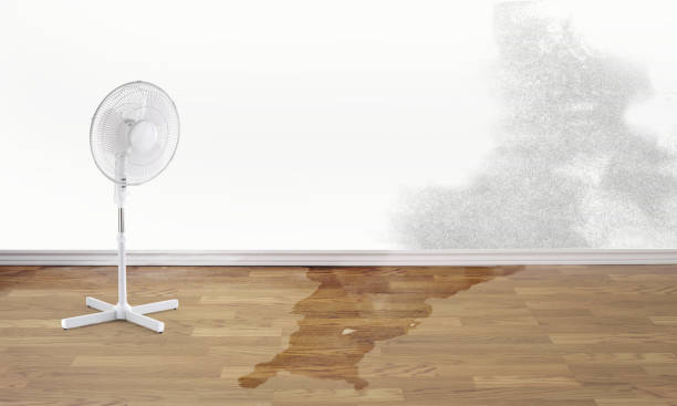 Best Flooded house restoration  in Brownstown, IN