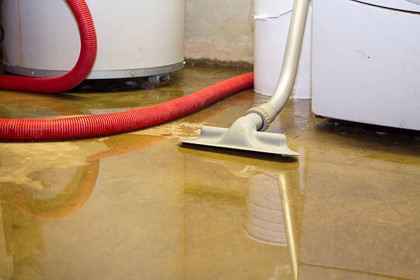  Brownstown, IN Water damage restoration Pros