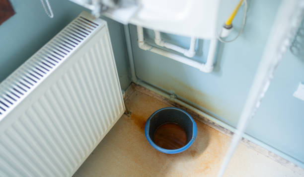 Best Carpet water damage restoration  in Brownstown, IN