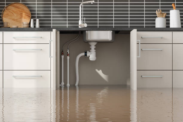 Reliable IN Water damage restoration Solutions