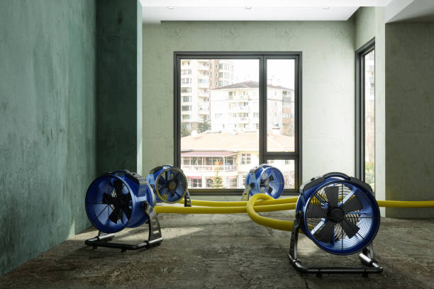 Best Residential water damage restoration  in Brownstown, IN